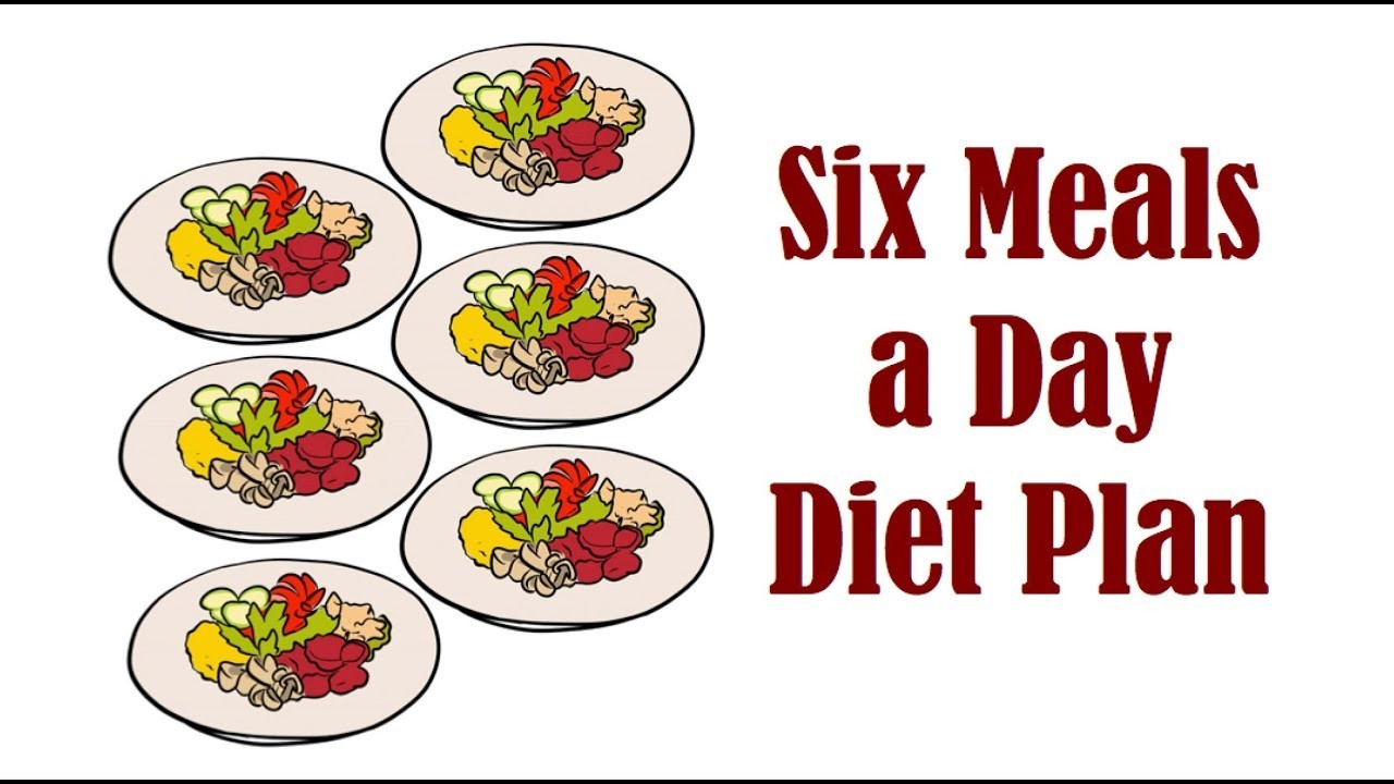 Should You Follow A Six Meals A Day Diet Plan Youtube Meal Plan 6 Small Meals A Day 